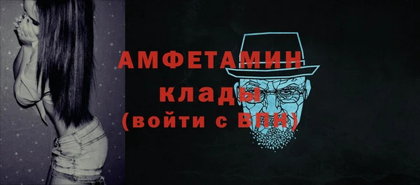 молекула духа Осташков