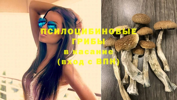 молекула духа Осташков