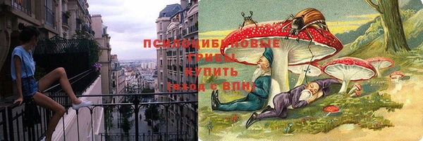 молекула духа Осташков