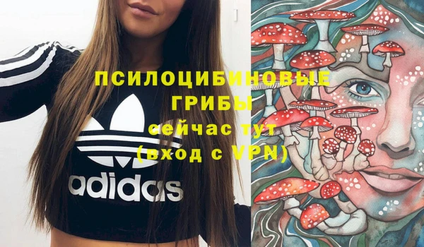 МДМА Осинники