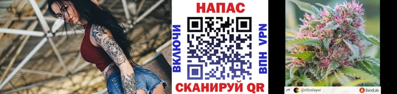 Конопля AK-47  Приволжск 